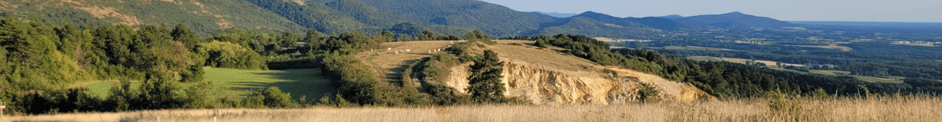 Trail des Chamois banner